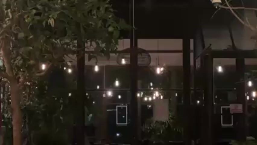 The video shows a dimly lit outdoor area, likely at night. There's a tree with green leaves and what appear to be small limes on the left side of the frame. Behind the tree are large glass windows with dark frames, possibly enclosing an indoor space. Strings of lights hang in front of the windows and within the enclosed space, adding to the dim lighting. A decorative light fixture hangs from the ceiling inside the glass structure. Signs are visible inside the glass area. A security camera is mounted near the top of the frame on the right. Overall, the scene has a cozy and somewhat atmospheric quality.