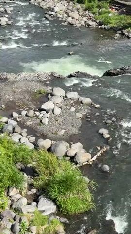 The video shows an overhead view of a rocky river. The water is flowing rapidly over numerous stones and some larger rocks. There are areas of white, foamy water indicating faster currents or small rapids. On the left bank, there is lush green grass and more rocks. The right bank is also rocky with some vegetation visible further upriver. The riverbed appears to be made up of sand, gravel, and various sized rocks. The overall scene depicts a natural, flowing river environment.