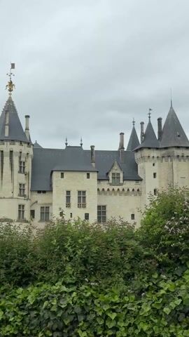 The video shows a partially obstructed view of a large, ornate, light-colored castle against a grey, overcast sky. The castle has multiple towers with dark roofs, some topped with decorative elements, including a golden figure holding a flag. The lower portion of the view is filled with dense green bushes, partially obscuring the base of the castle. The camera pans slightly upward, focusing on the tallest tower. No people are visible. The scene gives a sense of age, history, and a potentially somber atmosphere due to the weather.