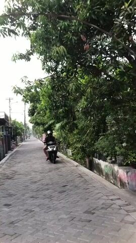 A person on a motorcycle rides down a paved walkway lined with trees and houses. The walkway is made of brick pavers. The person is wearing a helmet and a dark shirt. They are riding away from the camera. The trees are green and leafy, and some of them are hanging over the walkway. The houses are small and appear to be made of brick. The sky is overcast.