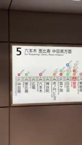 The video shows a brightly lit sign in a subway station. The sign is horizontal and displays the route of the Hibiya Line, a subway line in Tokyo, Japan. The sign lists the names of the subway stations along the line, along with their corresponding numbers (H01-H22). The numbers are in white, encircled in black. The sign also indicates directions, noting that the left side of the sign lists stations heading to Roppongi, Ebisu, and Naka-meguro, while the right side lists stations heading to Tsukiji, Akihabara, and Kita-senju. The sign provides a visual guide for passengers navigating the subway system.