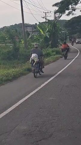 A man wearing a cap and a dark long-sleeved shirt rides a motorcycle on a paved road. He is carrying a white bag strapped to the back of the motorcycle. He is followed by another motorcycle with a person wearing an orange shirt and dark pants. The road is bordered by greenery and some trees. In the background, there are power lines, some buildings, and a hillside with vegetation. The sky is overcast.