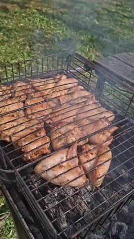 The video shows several marinated chicken wings cooking on a rectangular metal grill over hot coals. The grill is made of wire and has two separate hinged halves that close to hold the chicken wings in place. Smoke rises from the grill, and the chicken is browning. The grill sits on a metal stand above the coals. Green grass is visible in the background. A wooden table is located to the right of the grill.