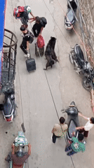 Routine street life observed from rooftops in Rishikesh