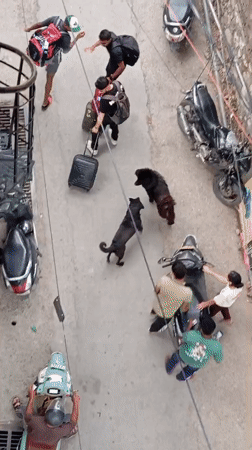 Routine street life observed from rooftops in Rishikesh
