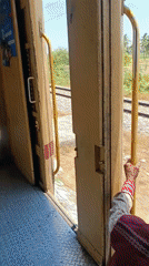 Train passengers share snacks while monkeys spotted on tracks