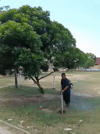 Routine maintenance and event preparation observed in Lhokseumawe