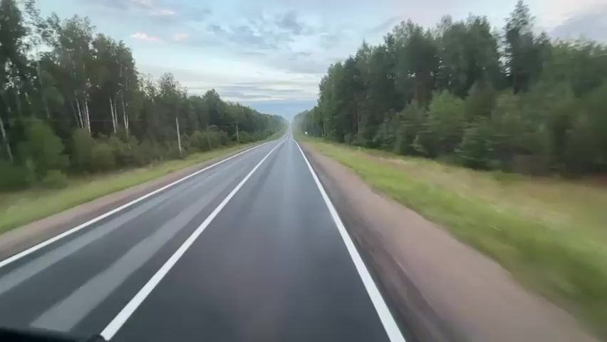 The video shows a POV shot from a vehicle driving on a wet asphalt road. The road is lined with tall green trees on both sides, forming a forest. The sky is cloudy and overcast, suggesting it may have recently rained or is about to rain. The road stretches into the distance, disappearing into a slight fog or haze. There are white lane markings on the road, dividing the lanes. The overall scene is one of driving through a natural, forested environment on a somewhat gloomy day.