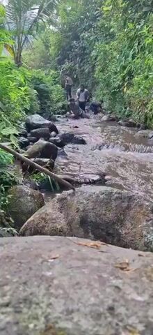 Four individuals are navigating a shallow, rocky stream in a lush, green environment. The stream bed is covered with rocks of various sizes, and the water is flowing briskly. The banks of the stream are densely vegetated with trees and other plants. The individuals appear to be walking or wading through the water, some with their heads bowed as if to avoid something. The person in the foreground is closest to the camera and is mostly obscured by a large rock. The lighting suggests it is daytime, possibly overcast.