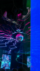 Women perform at Sofia nightclub amid laser light show