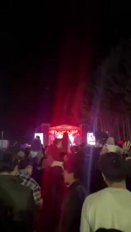 A low-angle shot captures an outdoor concert at night. The stage, illuminated by red and white lights, features a band performing. A large crowd of people, some with children on their shoulders, face the stage. The camera zooms in on a young girl waving her arms while on someone’s shoulders. Tall trees line the right side of the scene, contrasting with the brightly lit stage.