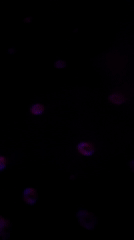 Purple and red light effects captured in dark Tel Aviv room
