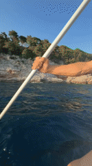 Dog along for a paddleboard session off the Montenegrin coast