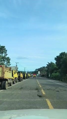 A long line of yellow dump trucks is parked on the right side of a two-lane road. The trucks are facing away from the camera, and appear to be waiting or stopped. The road is paved and has yellow lane markings. On the left side of the road, there are some buildings and utility poles. The right side of the road is lined with trees and vegetation. The sky is blue with some scattered clouds. There are a few other vehicles on the road, including a red truck and a white car. The overall scene suggests a traffic jam or a construction area.