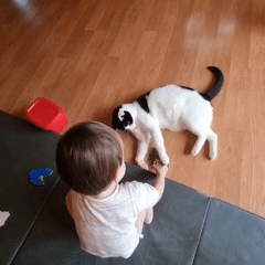 A toddler and a black-and-white cat spend a quiet morning together indoors.