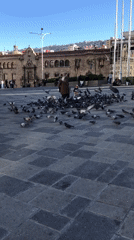 Woman feeds pigeons near La Paz cathedral plaza