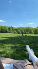 Person relaxes on blanket in sunny New York park