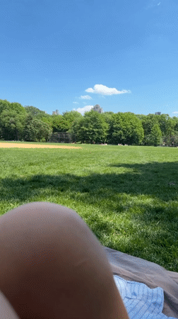 Person relaxes on blanket in sunny New York park