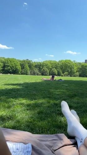 Person relaxes on blanket in sunny New York park