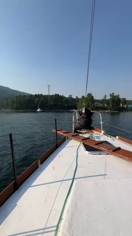 The video shows the bow of a white sailboat moving on calm, dark water under a clear blue sky. A wooded shoreline with distant trees and a power line tower is visible on the left. Another sailboat is anchored in the distance near the shore. The deck of the sailboat in the foreground is white with wooden trim. A dark object, possibly a folded sail or cover, is secured near the front of the boat. A green rope runs along the deck. The camera appears to be mounted at the front of the boat, looking forward.