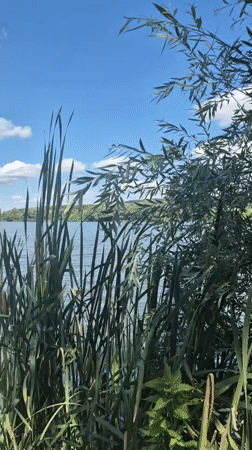 Lazy summer fishing on a calm Moldovan lake