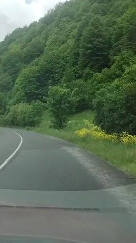 This is a first-person perspective video of a car driving on a winding mountain road in a lush, green forest. The road is paved and has a white line marking the center. The mountain slopes on either side are covered in dense trees. The sky is overcast with clouds. In the distance, a white van is seen driving on the road. The van appears to be a Volkswagen Transporter T4. The overall mood of the video is serene and natural, with a sense of peaceful travel. The time of day appears to be daytime, and the weather seems to be cloudy or partly cloudy. The location context of Bilyn, Ukraine suggests a rural, mountainous region. No visible text is present in the video.