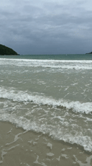 Waves, shells, and a ghost crab on a Samaesarn beach
