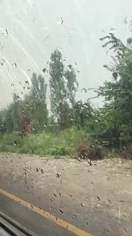 The video shows a view from inside a vehicle looking out a window covered in raindrops. The external environment is blurred by the rain and the movement of the vehicle. A road with a yellow line is visible in the foreground. Beyond the road, there is a grassy area with trees and some bushes. In the distance, there are more trees, some of which appear to be tall and slender. There is also a signpost with a triangular red and white warning sign, possibly indicating a speed bump or uneven road. The sky is overcast and appears to be a light gray. The overall impression is of a rainy day scene viewed from a moving vehicle.