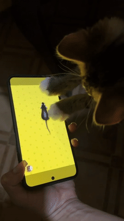 Cats fixate on mouse videos playing on smartphones