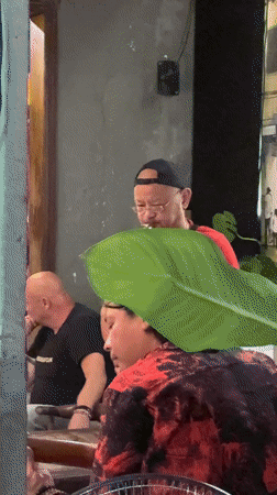 Social gathering observed at Hội An establishment Friday afternoon