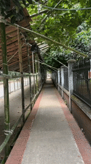 Daily life scenes captured in Dhaka streets and walkways