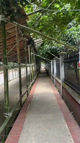 Daily life scenes captured in Dhaka streets and walkways