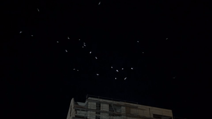 Birds flock over Varna construction site, dog seeks shelter
