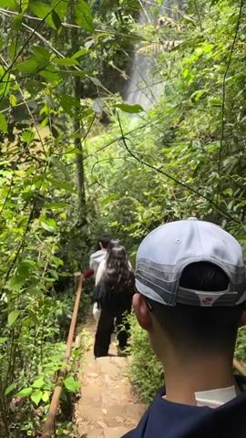 The video captures a group of people hiking through a lush, dense jungle environment, likely in Măng Đen, Vietnam, given the provided context. The scene is bright and appears to be daytime.

In the foreground, the back of a person wearing a grey cap and a dark blue hoodie is visible. This person is filming or observing the path ahead. In front of them, three other individuals are seen descending a winding path or stone steps. The person furthest back has long, dark hair and wears dark clothing. Ahead of them is another person with long, dark hair wearing a white top. The leading person is male, wearing a white t-shirt. They are all walking in single file, navigating the natural terrain.

The path is made of stone steps and has a wooden handrail on the left side, indicating a somewhat steep descent. The surrounding area is dominated by vibrant green foliage, tall trees, and various tropical plants, suggesting a rich forest ecosystem. In the distance, a waterfall is clearly visible, cascading down amidst the greenery, which appears to be their destination or a significant landmark along their route. A body of water, possibly a river or stream, can be glimpsed through the trees on the left side of the path.

The overall impression is one of an outdoor adventure or a scenic hike in a tropical or subtropical forest, leading towards a natural attraction. There is no visible text in the video. The sounds of nature, particularly flowing water, are audible.