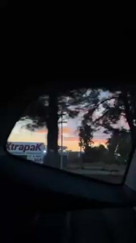 The video is taken from inside a moving car, looking out the rear window. The main focus of the shot is the scenery visible through the car window, which includes trees, buildings, and a vibrant sunset sky. The sky is a mix of pink, orange, and purple hues, suggesting either dawn or dusk. The trees and buildings appear dark against the bright sky, creating a silhouette effect. The car is moving, as evidenced by the changing scenery. The interior of the car is dark, with only a glimpse of the seat visible.
