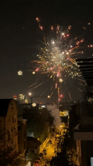 Fireworks display lights up Belgrade night sky