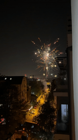 Fireworks display lights up Belgrade night sky