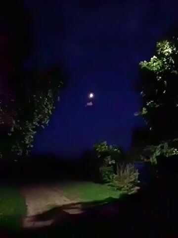 The scene is a dark, outdoor shot at night. A dirt road stretches into the darkness, flanked by green grass and foliage. Trees frame the view on both sides. A bright moon is visible in the dark blue sky, partially obscured by a small cloud. The scene is still with no discernible movement or sounds.
