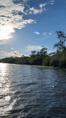 Rowing through lily pad waterways near Saint Petersburg