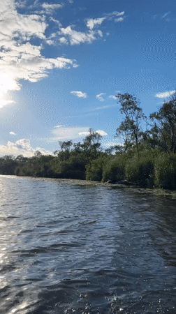 Rowing through lily pad waterways near Saint Petersburg