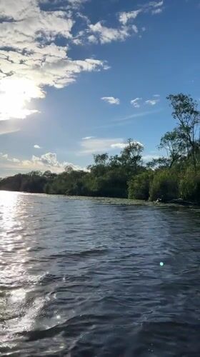 Rowing through lily pad waterways near Saint Petersburg