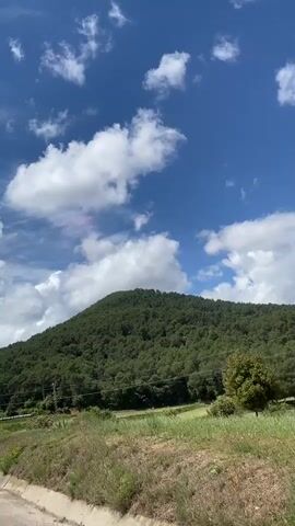 The video shows a scenic view of a tree-covered hill under a bright blue sky with scattered white clouds. The foreground includes a roadside with low vegetation and a guardrail. A triangular road sign with a snowflake symbol and the text "1000 m" is visible briefly. The wind sound is strong.