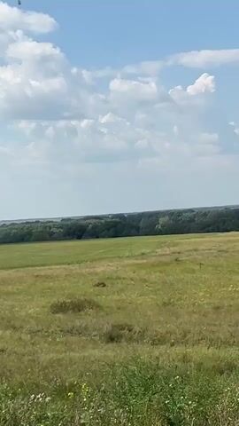 A video displays a vast, rural landscape under a bright, cloudy sky. The foreground is filled with tall, green grass and some wildflowers. Beyond that, a gently sloping field of shorter green grass extends towards a line of trees in the distance. Scattered within the treeline are several wind turbines, their tall white structures and spinning blades visible against the horizon. Further in the distance, faint outlines of buildings can be seen, suggesting a small settlement or town. The overall impression is one of open space and a peaceful, pastoral environment. The camera appears to be moving slowly, capturing the panorama.