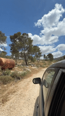 Vehicle travels dirt road past abandoned tank in Jordan