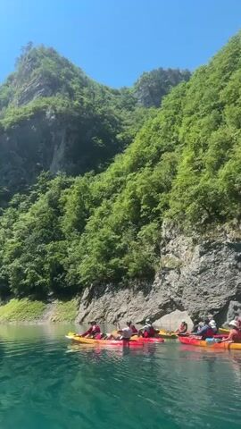 Four kayaks with multiple people paddling are in a body of turquoise water. The kayaks are yellow and red, and the people are wearing red and white clothing. They are moving from right to left in the frame. In the background, there are steep, tree-covered mountains and a clear blue sky. The sun is shining brightly. The water is calm with gentle ripples.