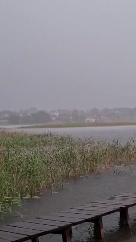 A wooden dock extends into a body of water. Tall green reeds line the edge of the water. In the distance, a hazy treeline and buildings are visible through a gray, overcast sky, indicating rain or fog. The surface of the water shows ripples, suggesting it is raining.