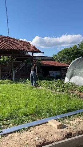 A woman is gardening in a backyard on a sunny day. She is wearing a black tank top and blue jeans. She uses a gardening tool in a small patch of green plants. Behind her is a house with a red tile roof. There is also a covered greenhouse in the yard.  The sky is blue with white clouds.  A metal bar and cinderblock are visible in the foreground.