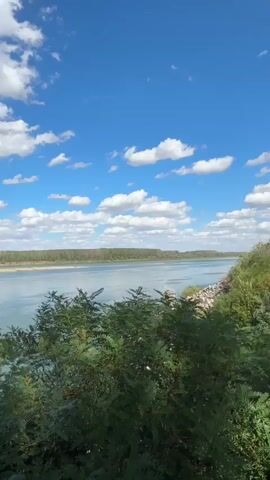 The video shows a wide river with a clear blue sky and scattered white clouds above. Lush green trees and bushes are in the foreground, partially obscuring the view of the riverbank. The opposite bank of the river is lined with a dense strip of trees, appearing as a distant green horizon. The water reflects the blue of the sky and appears calm. The scene suggests a natural, outdoor environment, likely on a sunny day.