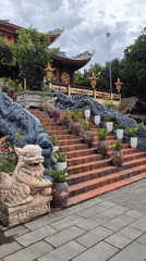 Daily life unfolds across Đà Nẵng temples and streets