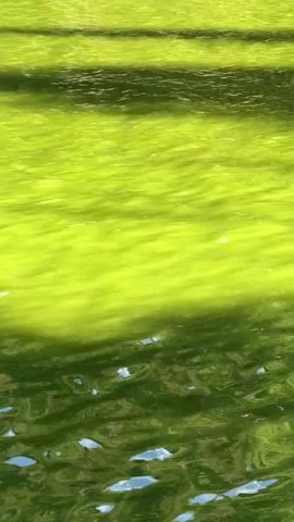 The video shows a close-up, overhead view of water with algae bloom. The water is a bright, vibrant green, with darker green patches and streaks throughout. The surface of the water is rippling, creating reflections and distortions. The ripples are causing the algae to swirl and mix, creating patterns. The lighting suggests it is daytime, possibly sunny, with light filtering through the water. There are no people or other objects visible in the frame.